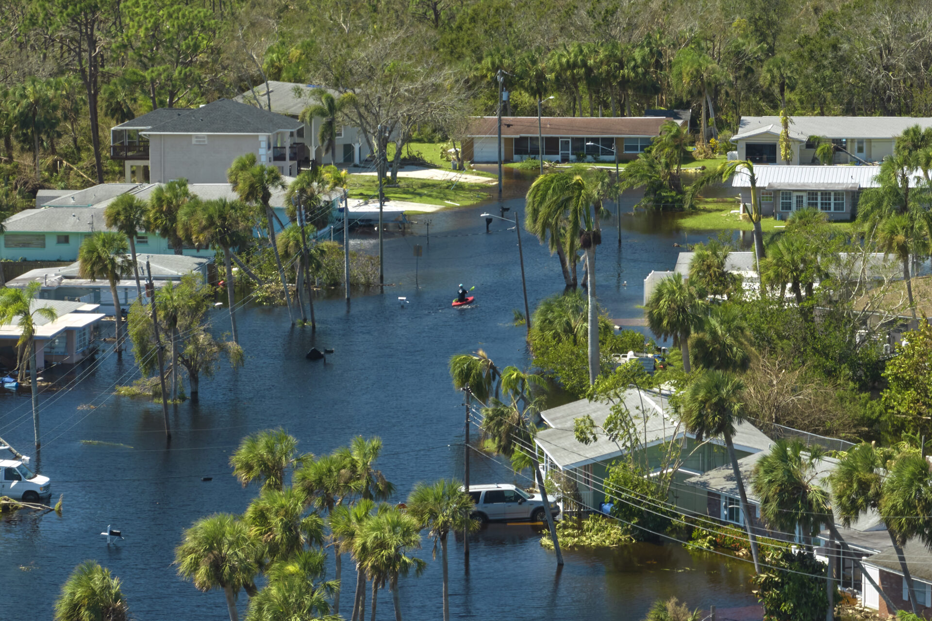Water damage mitigation